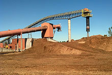 New York Biomass Power